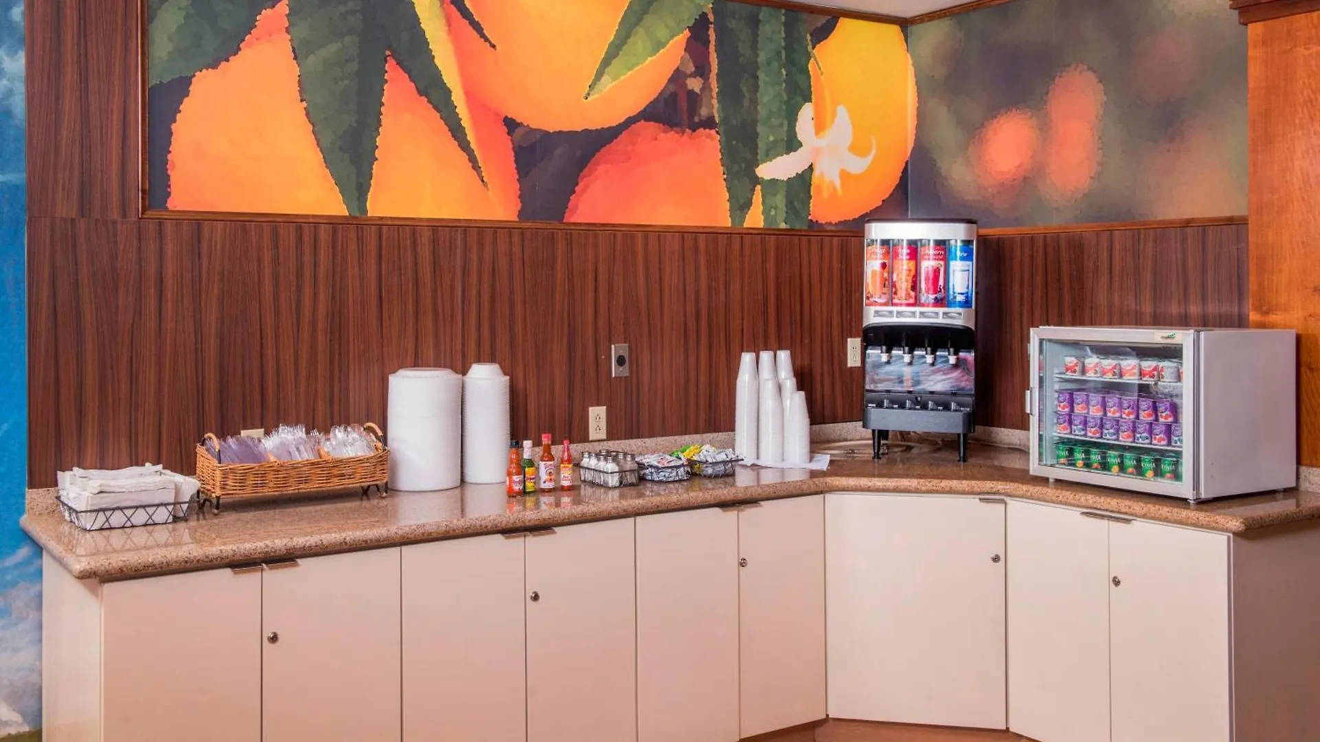 Hotel Fairfield Inn & Suites By Marriott Williamsburg